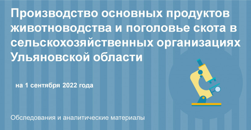 Производство продукции животноводства и численность скота в сельскохозяйственных организациях Ульяновской области на 1 сентября 2022 года